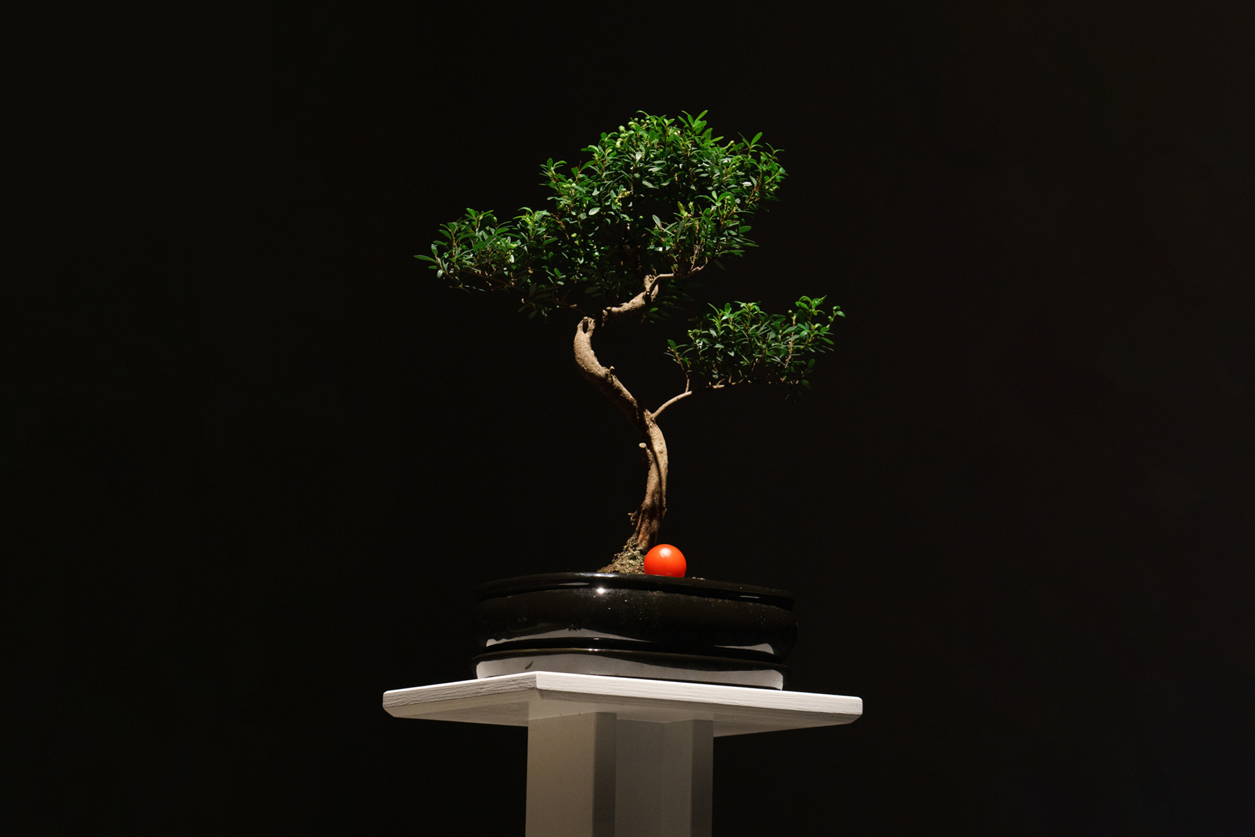 Wallgraben Theater Freiburg Die Laborantin 016